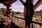 Disney's Animal Kingdom Lodge Picture 2