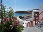 Artemis Hotel Picture 3