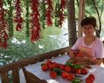 Yonca Lodge Boutique Hotel Picture 2