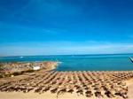 Amc Azur Resort Picture 1