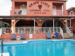 Grapevines Studios Picture 3