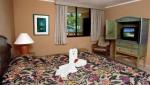 Celuisma Tropical Playa Dorada Hotel Picture 3