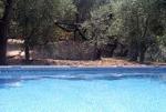 Villa Pane Hotel Picture 2