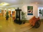 Ola Club Cala Llenya Hotel Picture 1