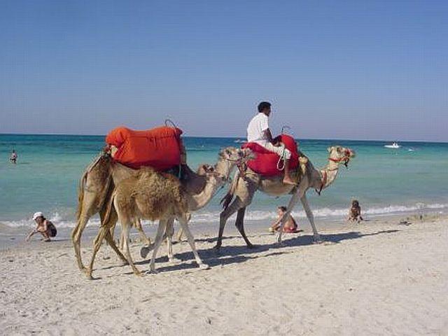 Iberostar Mehari Hotel