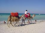 Iberostar Mehari Hotel Picture 0