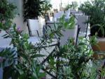 Montemare Hotel Picture 1