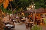 Cactus Beach Hotel Picture 6