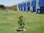 Quintinha Village Hotel Picture 1