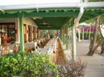 Mango Bay Picture 7
