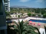 Palm Court Apartments Picture 2