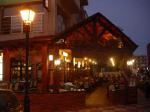 Safari Apartments Picture 6