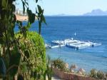 Domina Coral Bay Oasis Hotel Picture 5