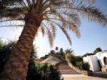 Domina Coral Bay Oasis Hotel Picture 2