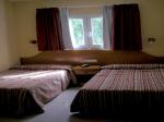 Playa Limones Bungalows Picture 4