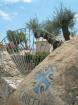 Cruccuris Resort Hotel Picture 1