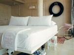Basico Hotel Picture 4