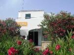 California I & II Apartments Picture 8
