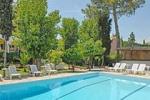 Popi Star Hotel Picture 1