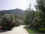 Klelia Hotel Picture 2