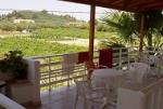 Villa Daisy Apartments Picture 2