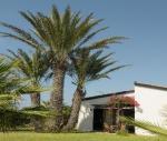 Kermia Beach Bungalow Hotel Picture 4