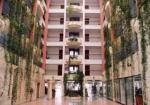 Arsinoe Beach Hotel Picture 2