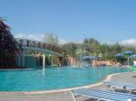 Arsinoe Beach Hotel Picture 4