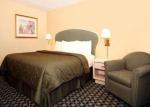 Comfort Inn Universal Hotel Picture 4
