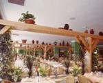 Playaluna Apartments Picture 5
