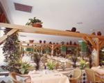 Playaluna Hotel Picture 5