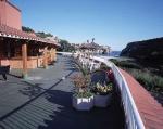 Aquarium Hotel Picture 5