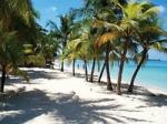 Negril Inn Hotel Picture 6