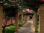 Protur Floriana Resort Aparthotel Picture 9
