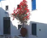 Alekos Pensions Hotel Picture 2