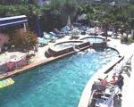 Paradise Bay Hotel Picture 1