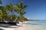 Barcelo Bavaro Beach Hotel Picture 4