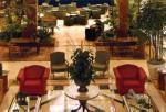 Melia Santo Domingo Hotel Picture 2