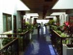 Suites Del Sol Hotel Picture 3