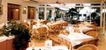 Los Delfines Hotel Picture 4