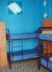 Red Nest Hostel Picture 3