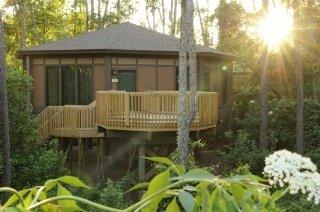 Disney's Saratoga Springs Resort & Spa