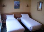 Fleche D'or Hotel Picture 3
