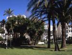 Torre De La Roca Hotel Picture 1