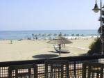 Tropicana Hotel Picture 1