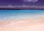 Scuba Club Hotel Picture 4