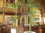 Hacienda Vista Real Golf & Spa Hotel Picture 1