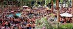 Hard Rock & Casino Las Vegas Hotel Picture 1