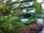 Amazona Apartments Picture 3