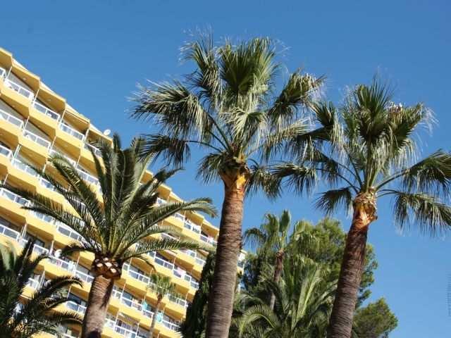 Las Palomas Apartments